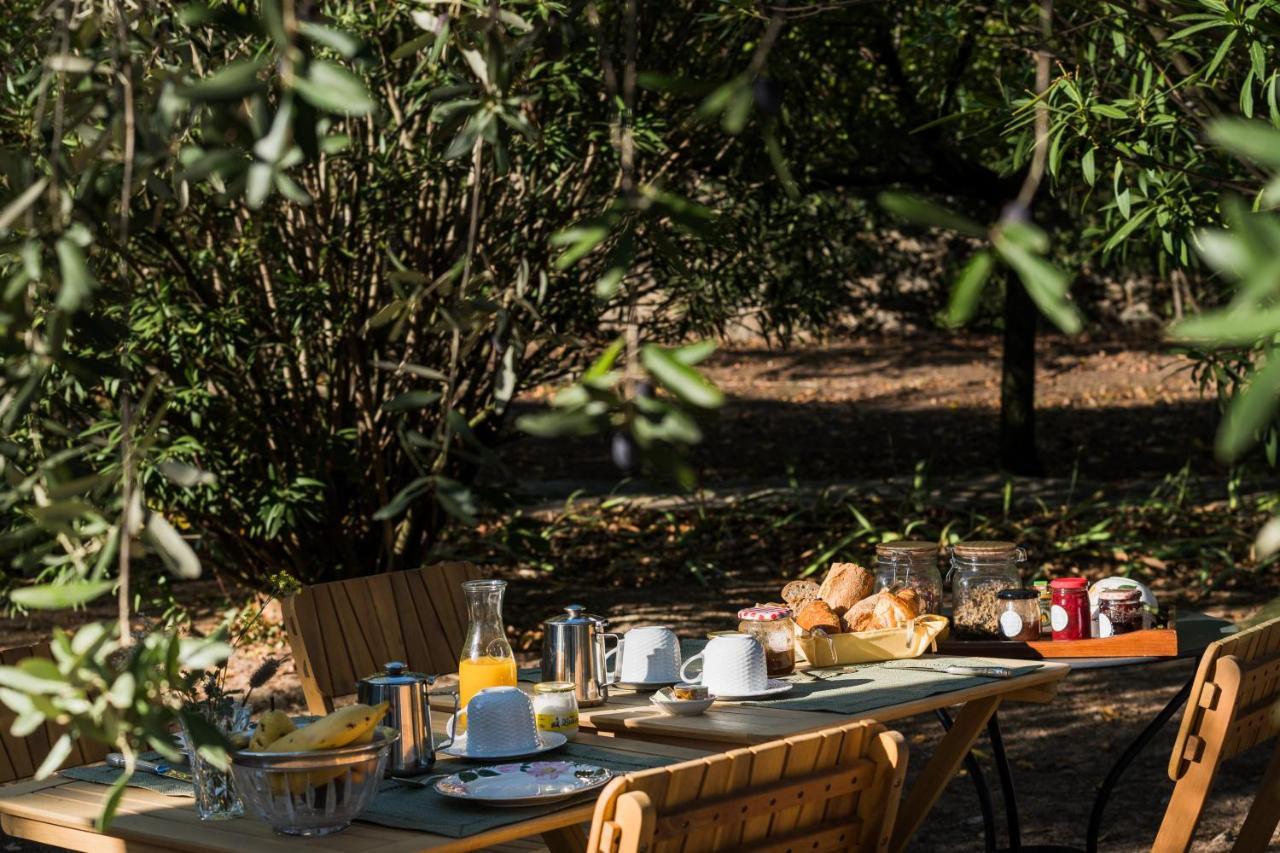 La Closerie Des Iris Castelnau-d'Aude Buitenkant foto