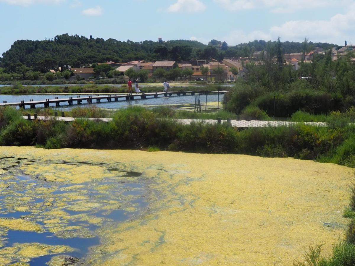 La Closerie Des Iris Castelnau-d'Aude Buitenkant foto